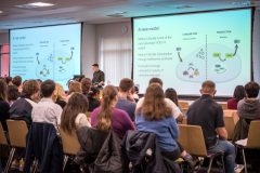 White-Rose-49-1-scaled