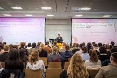 White-Rose-78-1-scaled