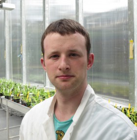 York – Molecular basis of the benefits of arbuscular mycorrhizal symbiosis for the nitrogen nutrition of crop plants