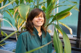 York – Acylation of Natural Products Derived from Biorefining