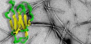 University of Leeds announces £17m Astbury BioStructure Laboratory
