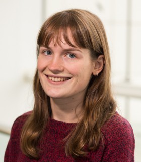 Sheffield-Investigating the role of endocytosis in the virulence of Candida albicans