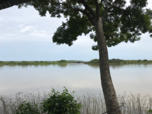 Lake at the MRC Wali Kunda Field Station