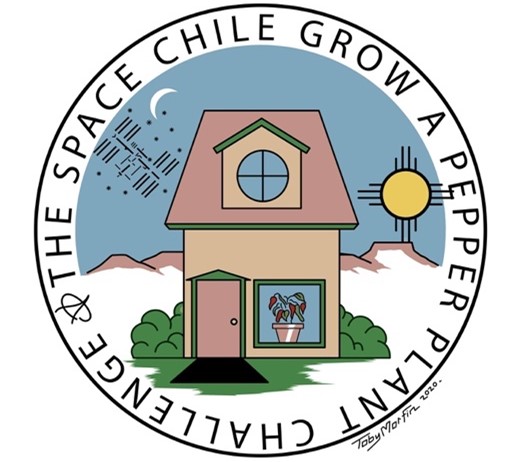 Space chile logo