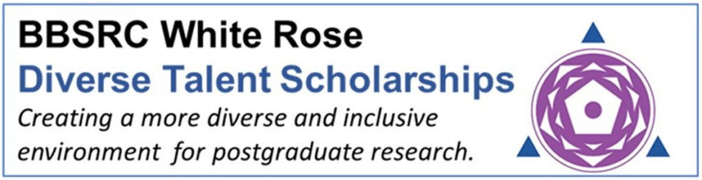 White Rose Diverse Talent Scholarships logo