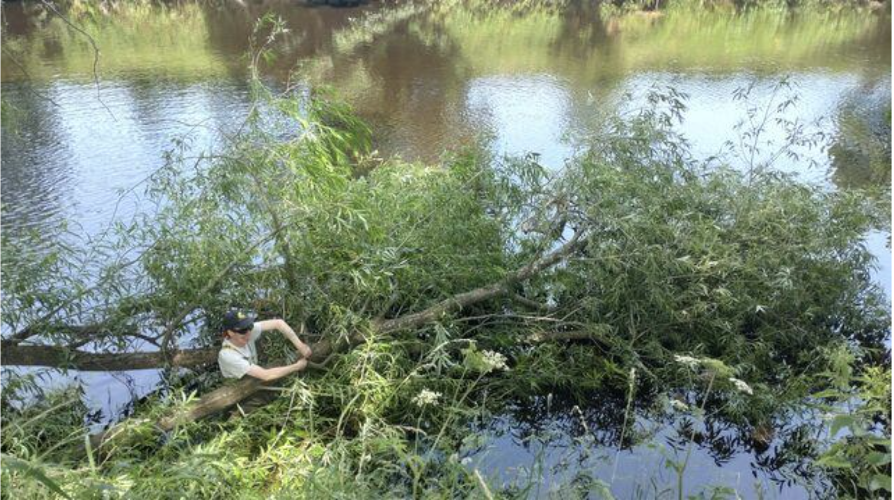 A photograph of Freddy Weaver working on a large tree laid across a river